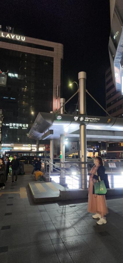 Mizo Hotel Seoul Eksteriør billede